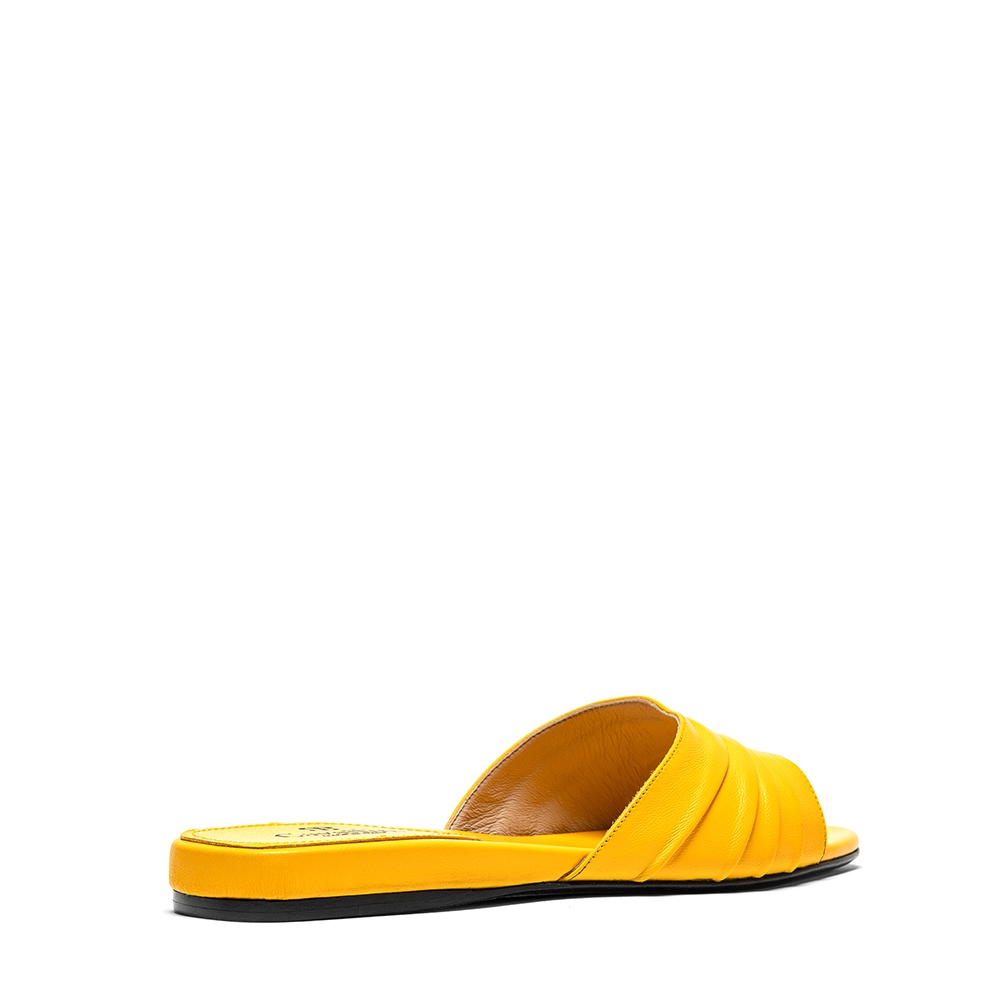 Zircone_3
